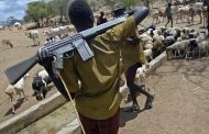 Herdsmen Violence: Fulani Model of Being Biafrans or False Allegation Against a ‘Historically Dominant Minority’?