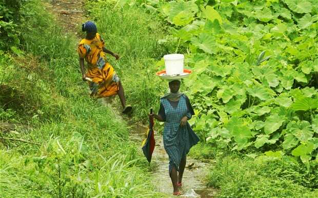 liberia2_2359203b