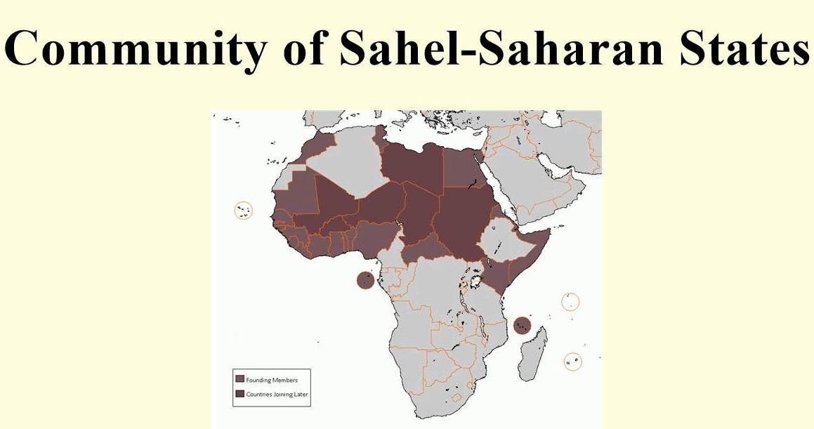 Nigeria’s Prof Olawale Albert Addresses Sahelian Insecurity Conversation @ Chatham House