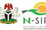 Action Aid Nigeria Joins N-SIP Controversy, Lauds It