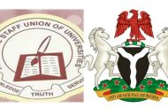 ASUU & IPPIS: The Truth of the Matter 