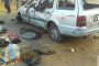 Open Letter to Gov Badaru Abubakar on the Camel Killing Spree on Jigawa Roads
