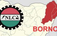 Reforming the Civil Service in Borno State