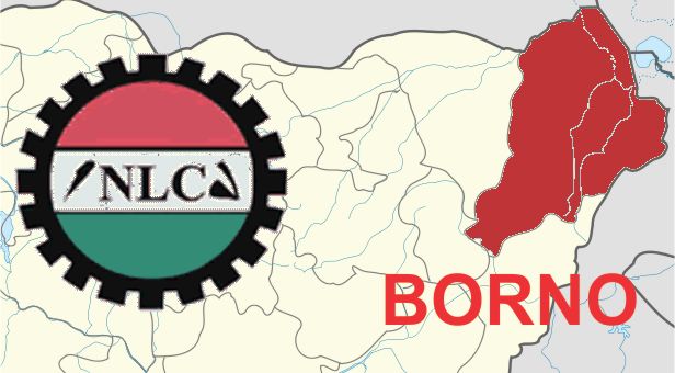 Reforming the Civil Service in Borno State