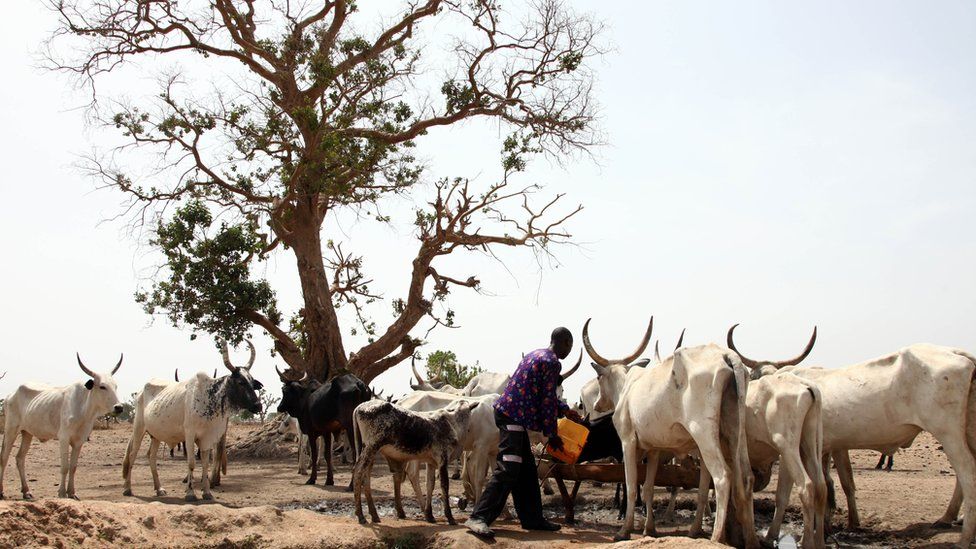 De-escalating the Fulani Hysteria