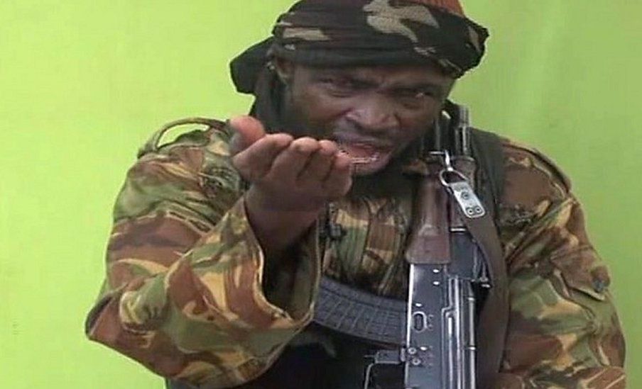 Ignominious End of the Terrorist, Shekau