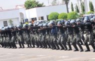 The Nigeria Police Force Exactly as Gambo Jimeta Predicted?