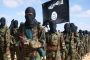 ISIS-linked Groups Open Up New Fronts Across Sub-Saharan Africa