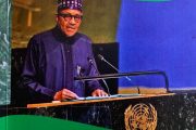 Did Buhari Shift the Centrepiece of Nigerian Foreign Policy from Africa to Niger Republic?