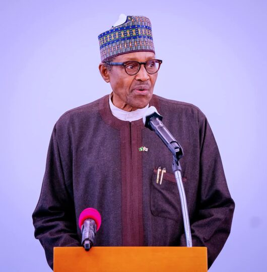 What We Told President Buhari