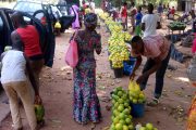The Benue Fruit Abundance Scandal