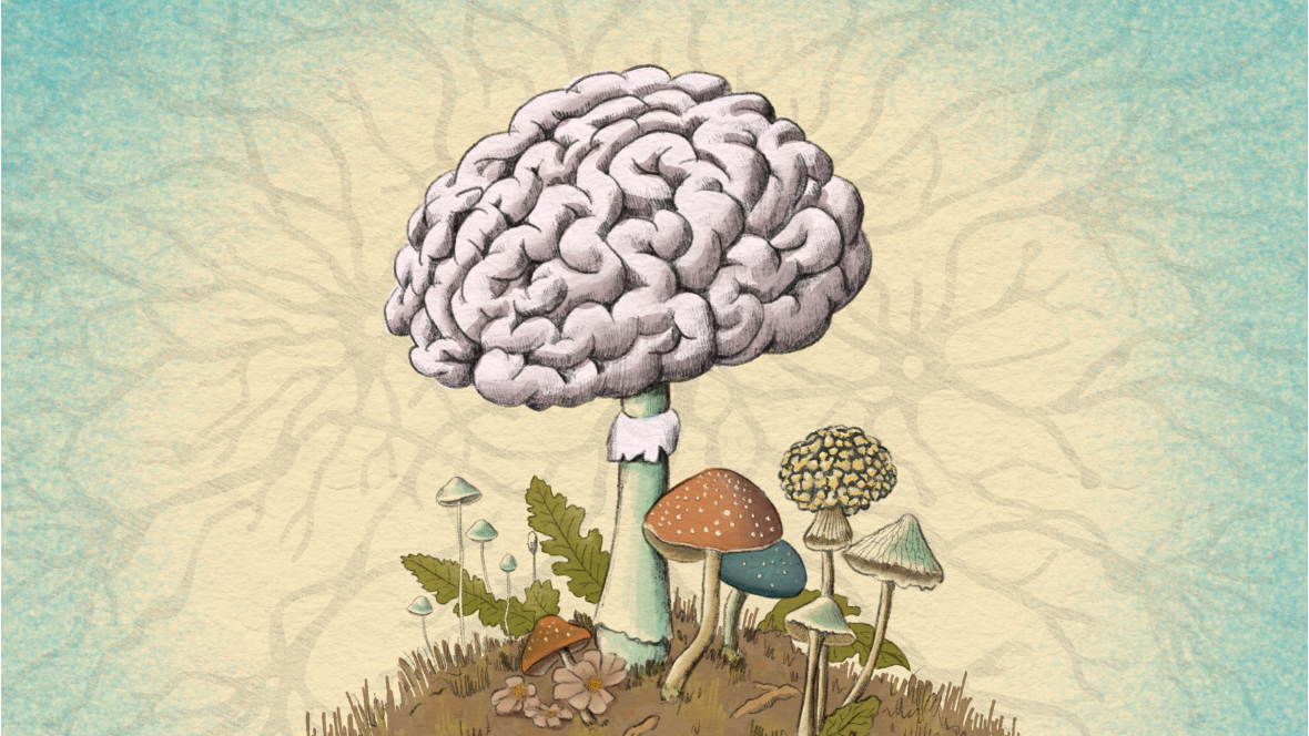 Might Scientists Be Right in Thinking Fungi Could Be Influencing Our Brain Because Our Body is a Mosaic of Them?
