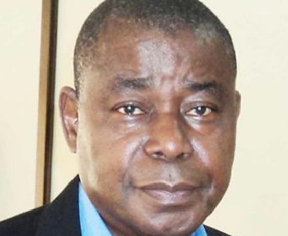 Where Dr. Peter Ozo-Eson, Ex-NLC Intellectual Stood On Why Nigeria is Collapsing into Anomie