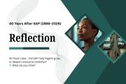 Dr. Otive Igbuzor’s Double Move on 40 Years of SAP in Nigeria