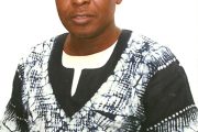Why is Y. Z. Yáu, the Nigerian Yew, ‘Missing’?