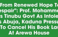 Book on Tinubu Government Now for Public Presentation at YarÁdua Centre, October 16th, 2026